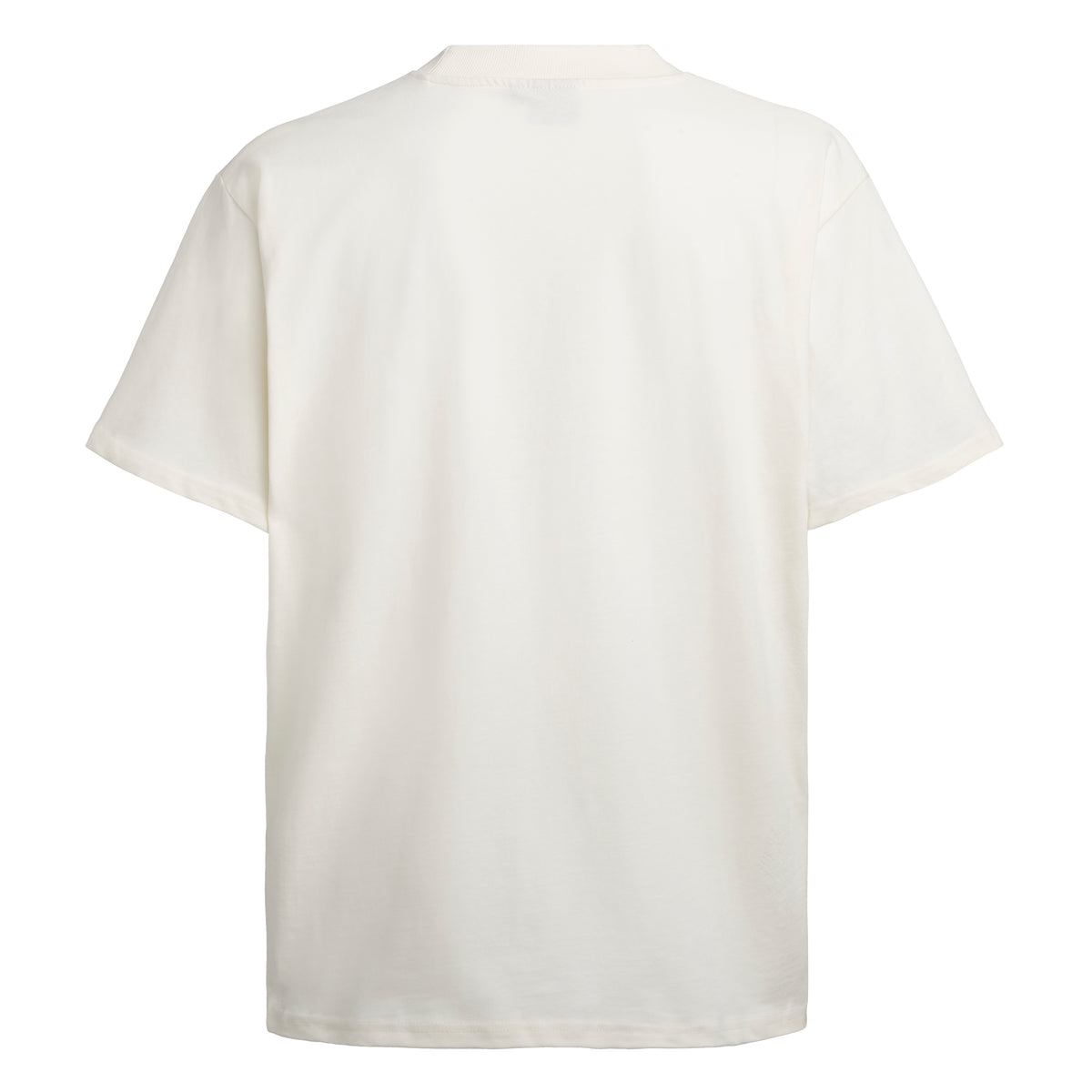 Oversized Shirt V2